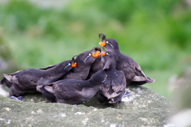 Similar image 2582457