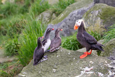 Similar image 2582460