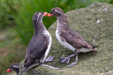 Similar image 2582461