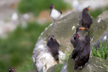 Similar image 2582463