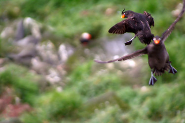 Similar image 2582464