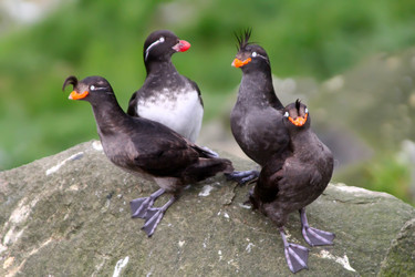 Similar image 2582468