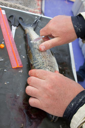 Similar image 2582508