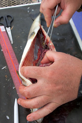 Similar image 2582517