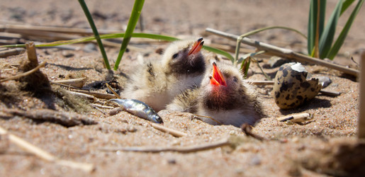 Similar image 2582518