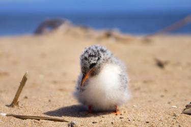 Similar image 2582537