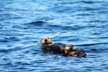 Similar image 2582586