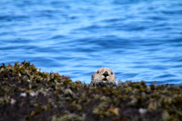 Similar image 2582589