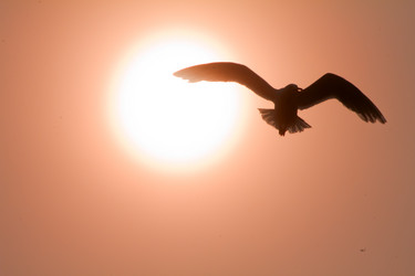 Similar image 2582593