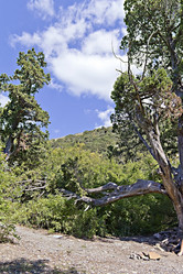 Similar image 2584200