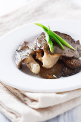 Similar image 2584242