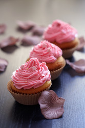 Similar image 2584264