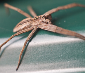 Similar image 2594803