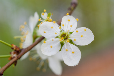 Similar image 2594805