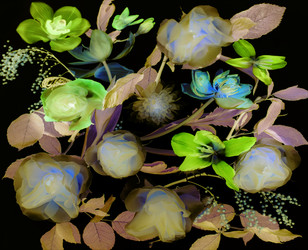 Similar image 2595036