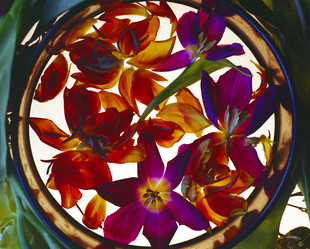 Similar image 2595039