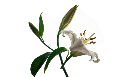 Similar image 2595041