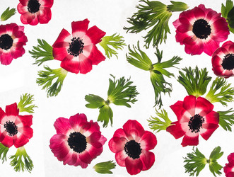 Similar image 2595042