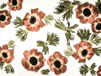 Similar image 2595044