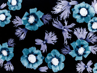 Similar image 2595048