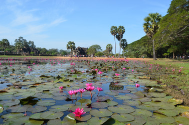 Similar image 2595317