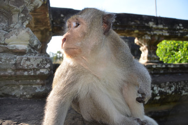 Similar image 2595320