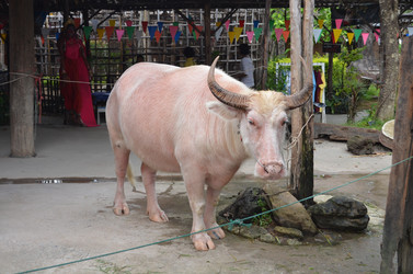 Similar image 2595446