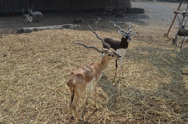 Similar image 2595447