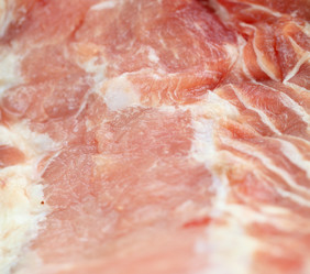 Similar image 2595492