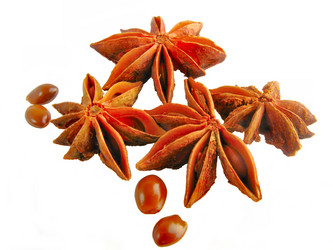 Similar image 2595503