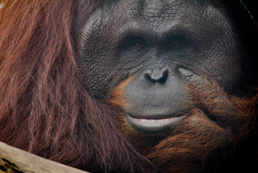 Similar image 2595577