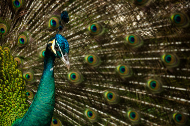 Similar image 2595588