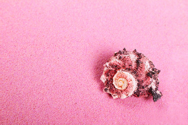 Similar image 2595919