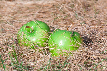 Similar image 2595990