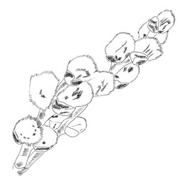 Similar image 2596712