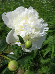 Similar image 2597358