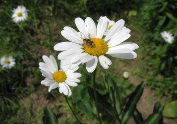 Similar image 2597359