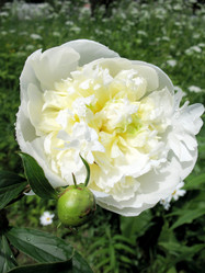 Similar image 2597371