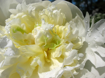 Similar image 2597372