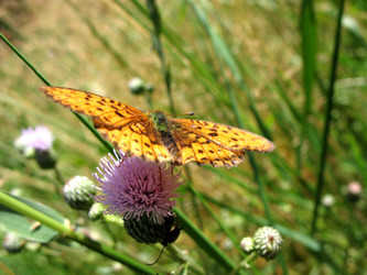 Similar image 2597384