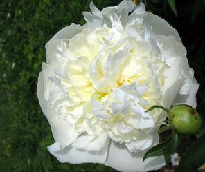 Similar image 2597386