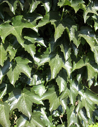 Similar image 2597400