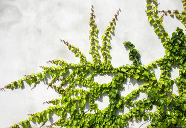 Similar image 2597401