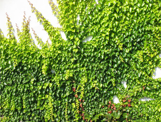 Similar image 2597403