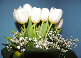 Similar image 2597413