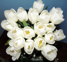 Similar image 2597414