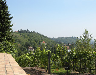 Similar image 2597418