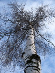 Similar image 2597421