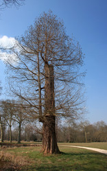 Similar image 2597635