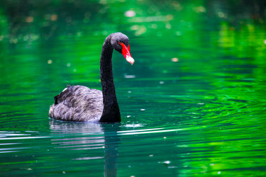 Similar image 2597692